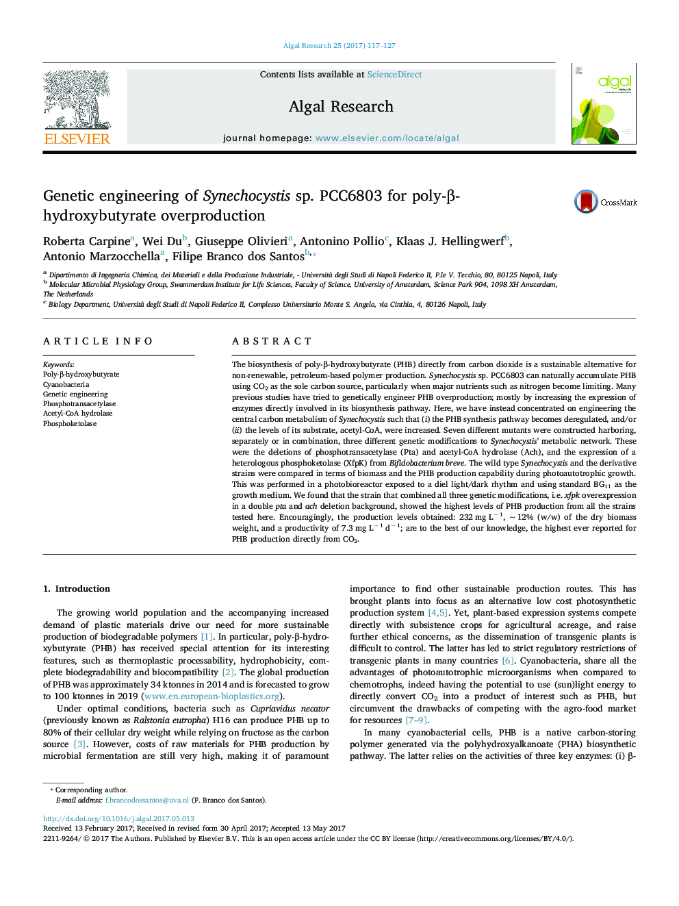 Genetic engineering of Synechocystis sp. PCC6803 for poly-Î²-hydroxybutyrate overproduction