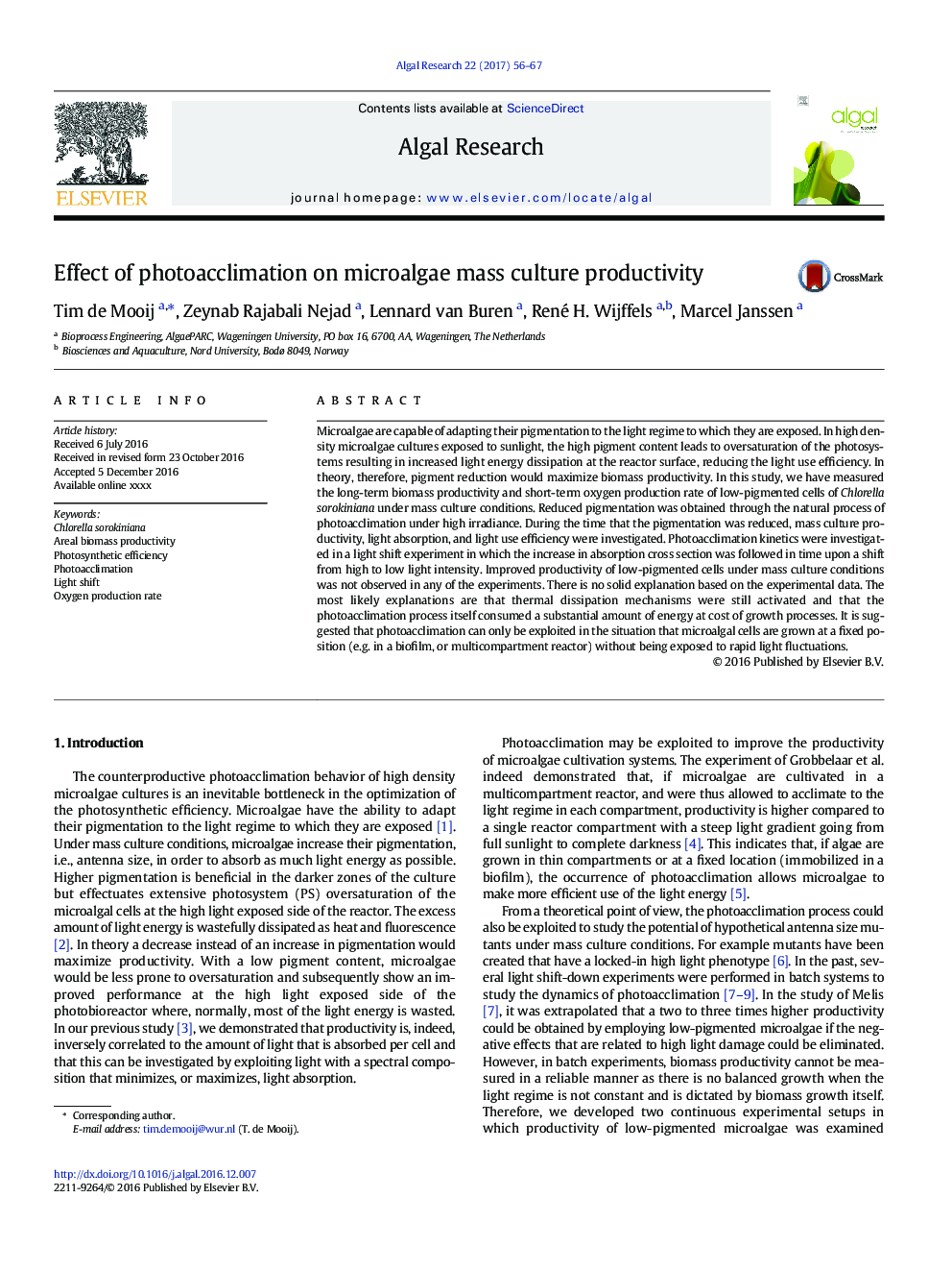 Effect of photoacclimation on microalgae mass culture productivity