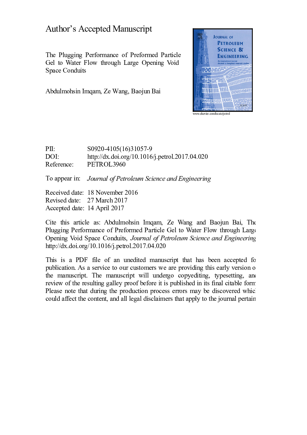 The plugging performance of preformed particle gel to water flow through large opening void space conduits