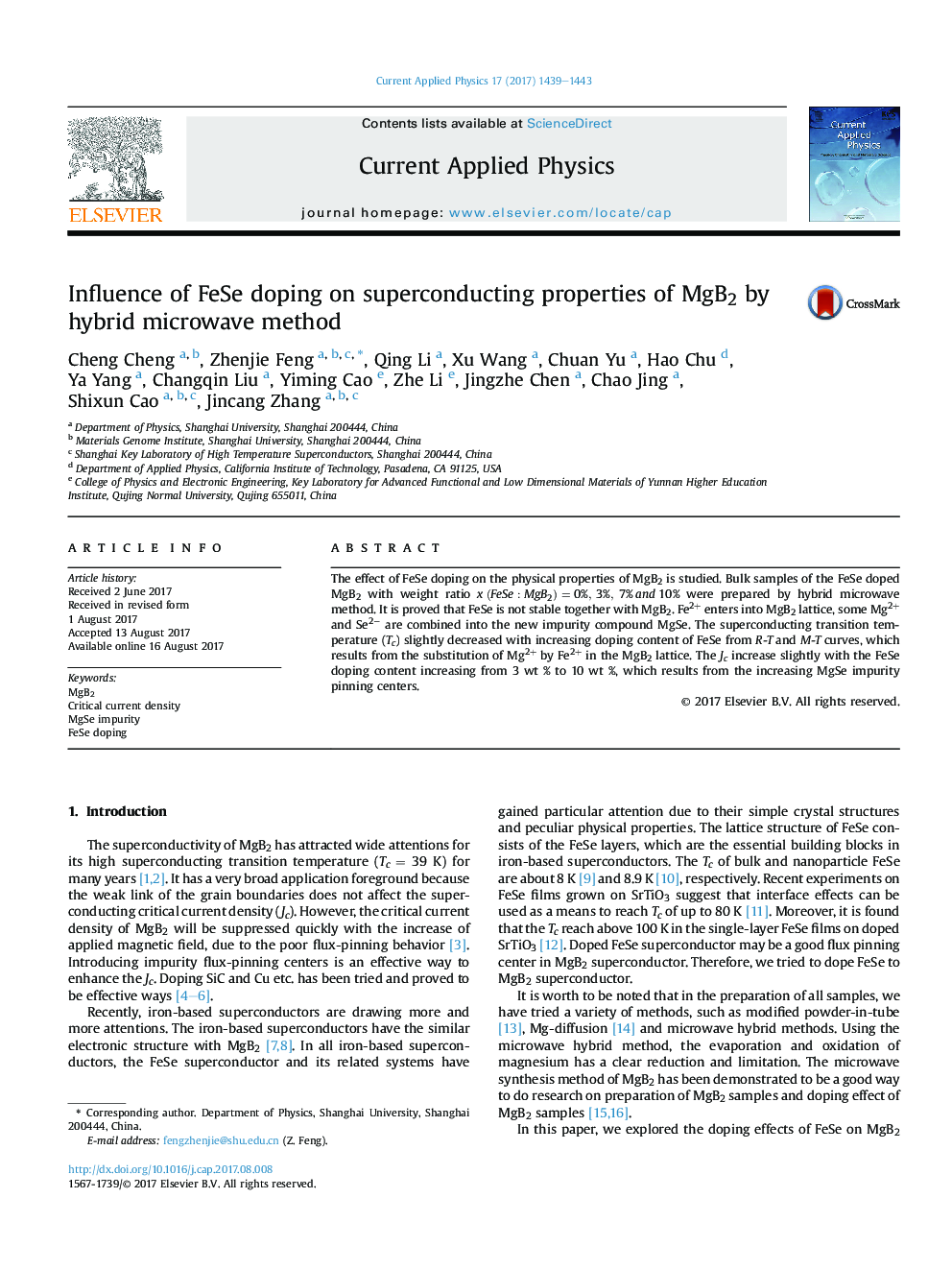 Influence of FeSe doping on superconducting properties of MgB2 by hybrid microwave method