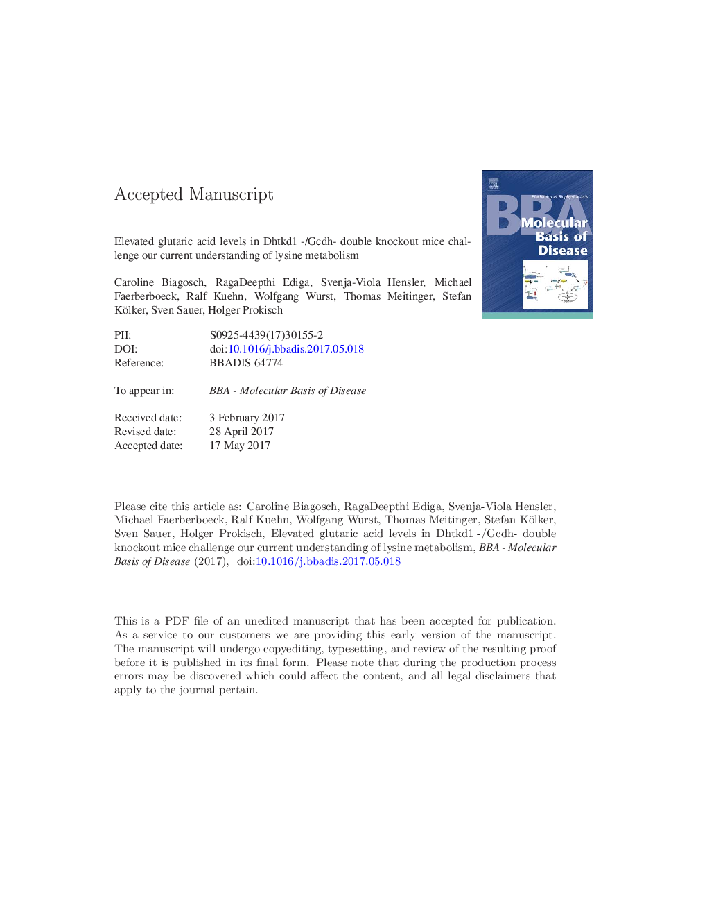 Elevated glutaric acid levels in Dhtkd1-/Gcdh- double knockout mice challenge our current understanding of lysine metabolism