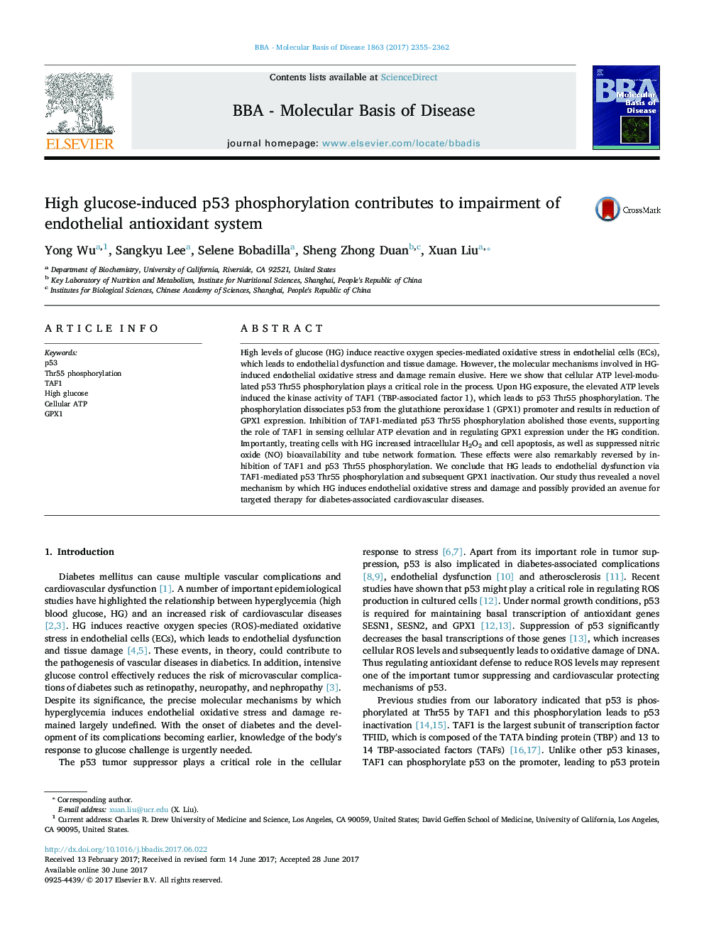 High glucose-induced p53 phosphorylation contributes to impairment of endothelial antioxidant system