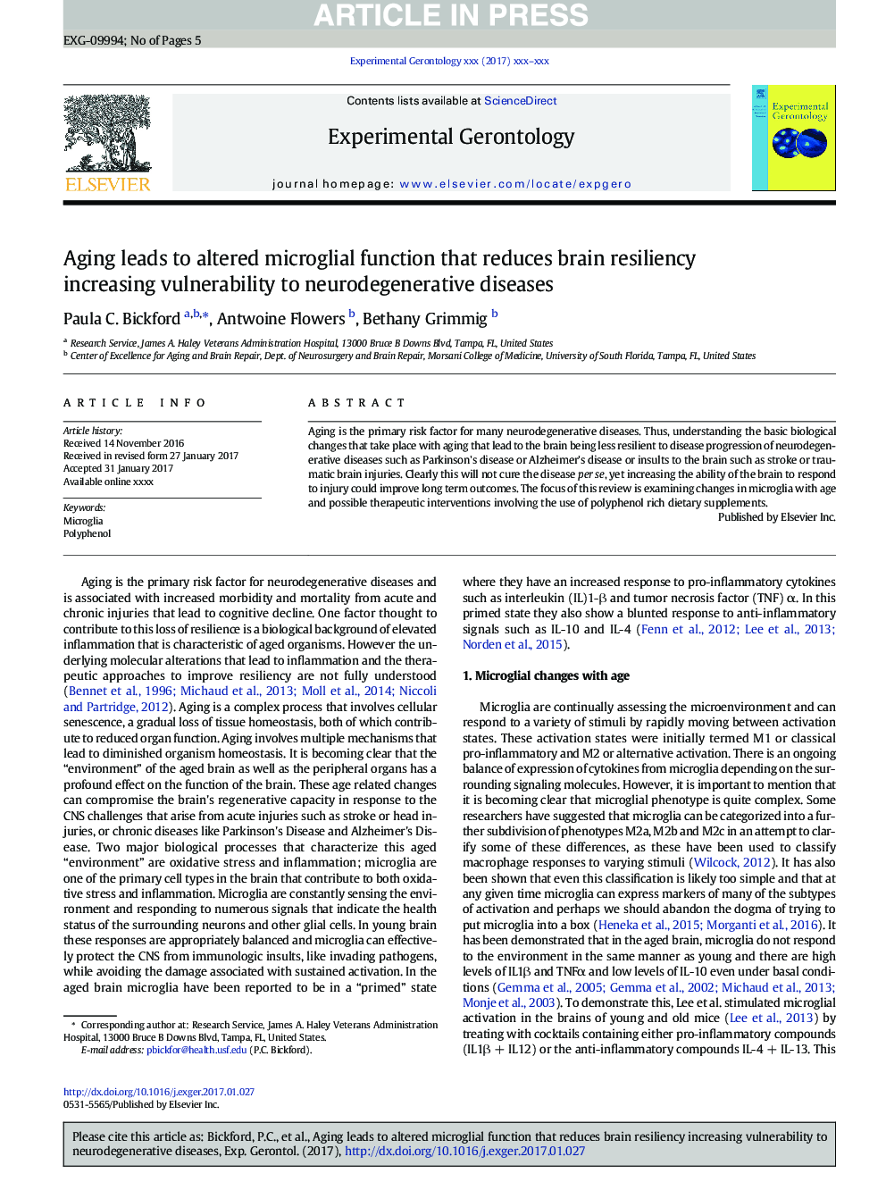 Aging leads to altered microglial function that reduces brain resiliency increasing vulnerability to neurodegenerative diseases