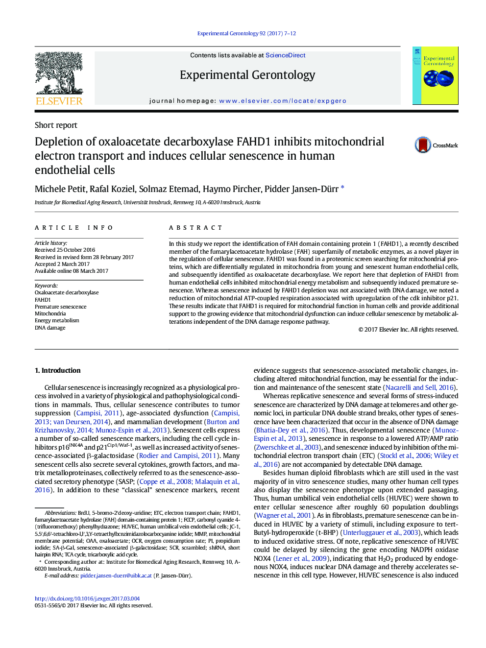 Depletion of oxaloacetate decarboxylase FAHD1 inhibits mitochondrial electron transport and induces cellular senescence in human endothelial cells