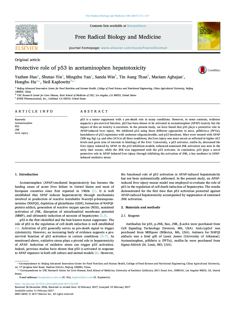 Original articleProtective role of p53 in acetaminophen hepatotoxicity