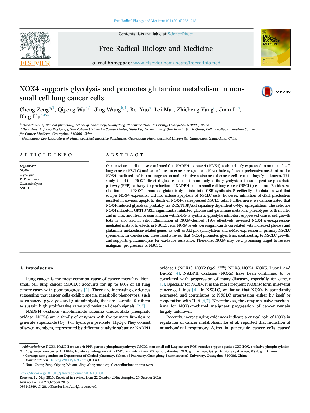 NOX4 supports glycolysis and promotes glutamine metabolism in non-small cell lung cancer cells