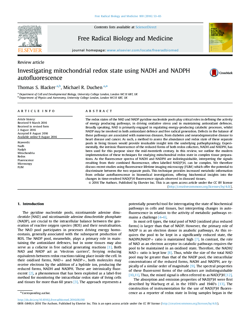 Investigating mitochondrial redox state using NADH and NADPH autofluorescence