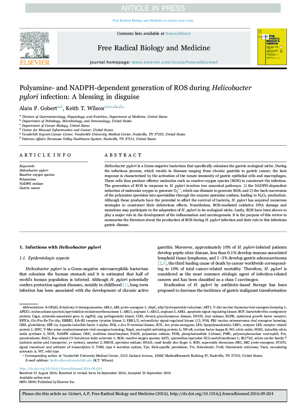 Polyamine- and NADPH-dependent generation of ROS during Helicobacter pylori infection: A blessing in disguise