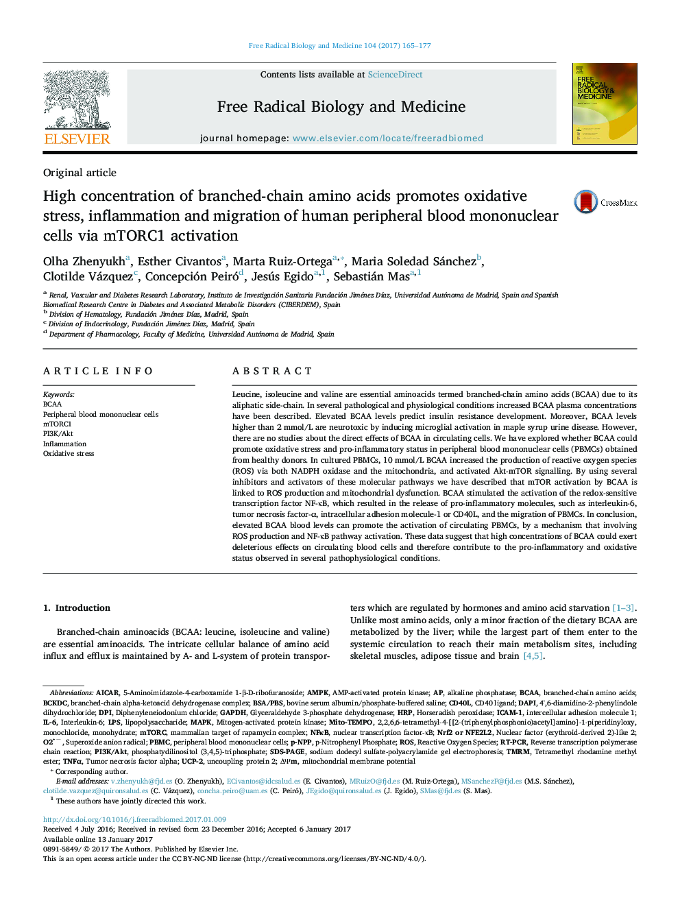 High concentration of branched-chain amino acids promotes oxidative stress, inflammation and migration of human peripheral blood mononuclear cells via mTORC1 activation