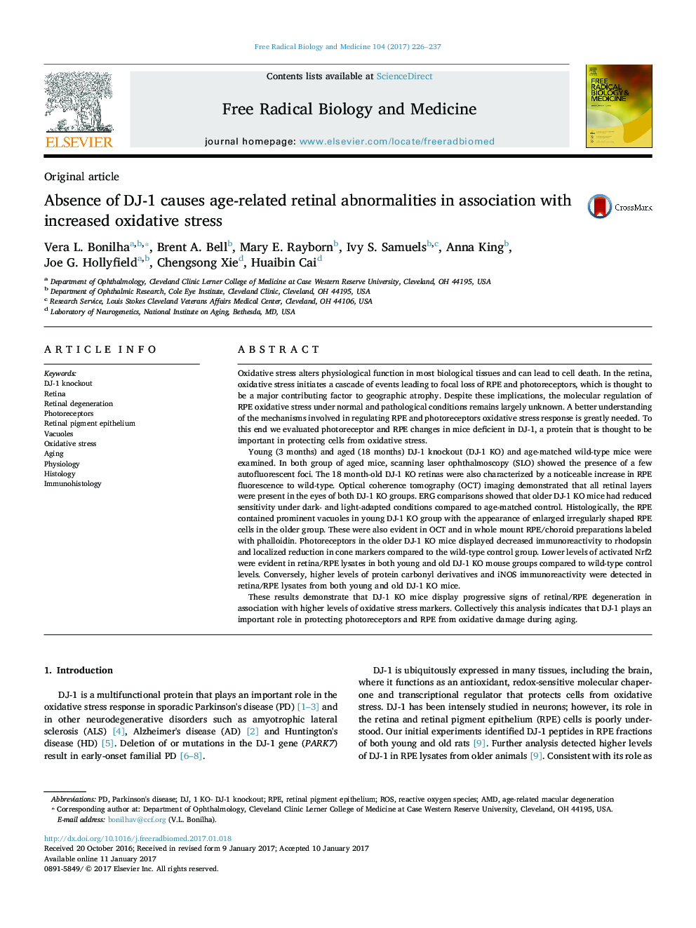 Original articleAbsence of DJ-1 causes age-related retinal abnormalities in association with increased oxidative stress