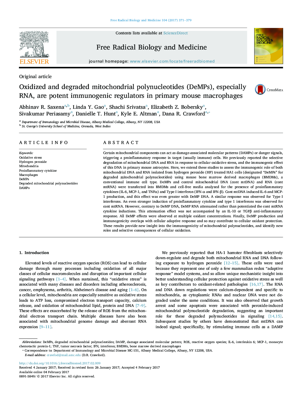 Oxidized and Original article degraded mitochondrial polynucleotides (DeMPs), especially RNA, are potent immunogenic regulators in primary mouse macrophages