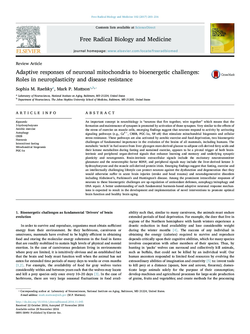 Adaptive responses of neuronal mitochondria to bioenergetic challenges: Roles in neuroplasticity and disease resistance