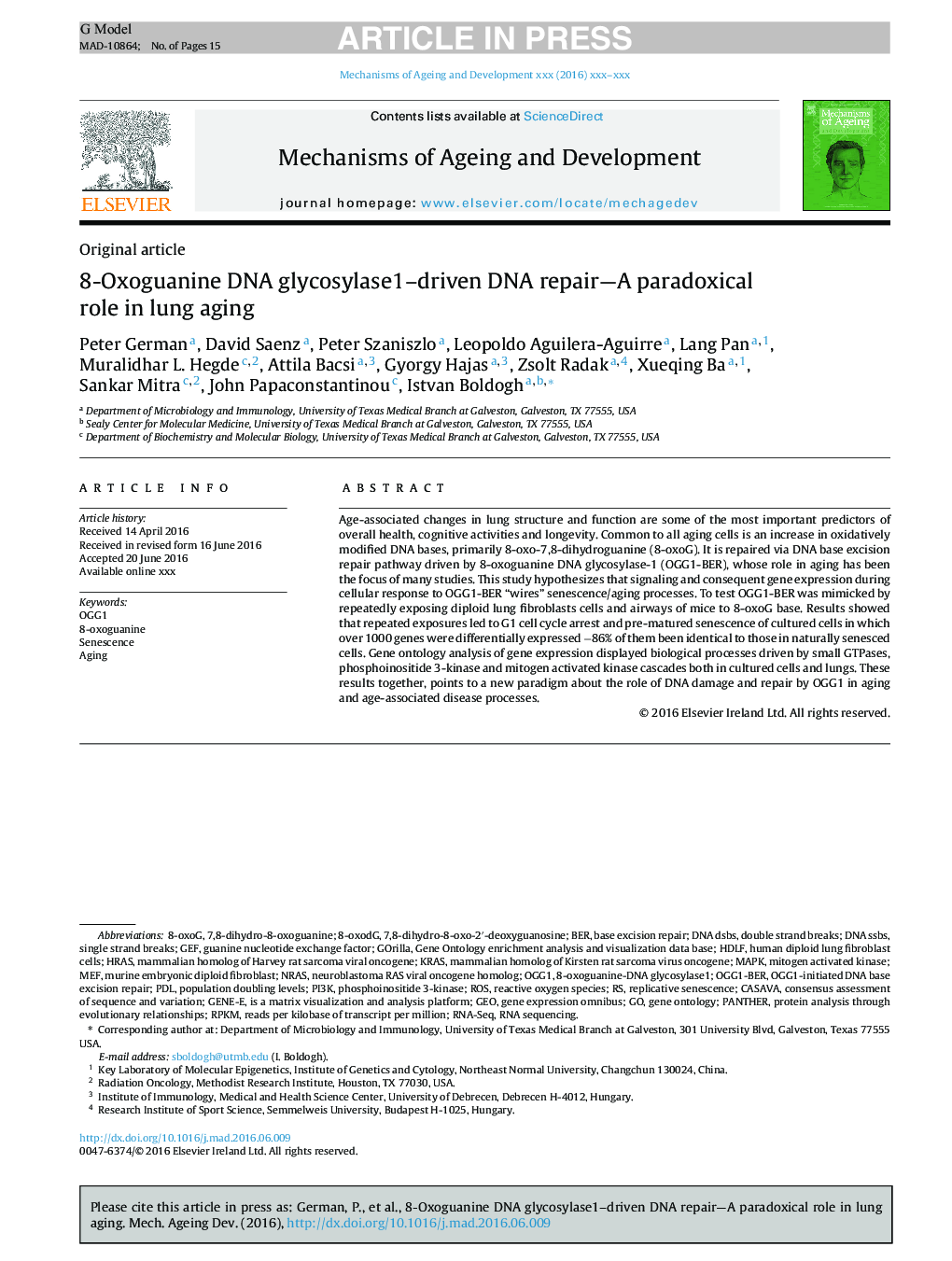 8-Oxoguanine DNA glycosylase1-driven DNA repair-A paradoxical role in lung aging