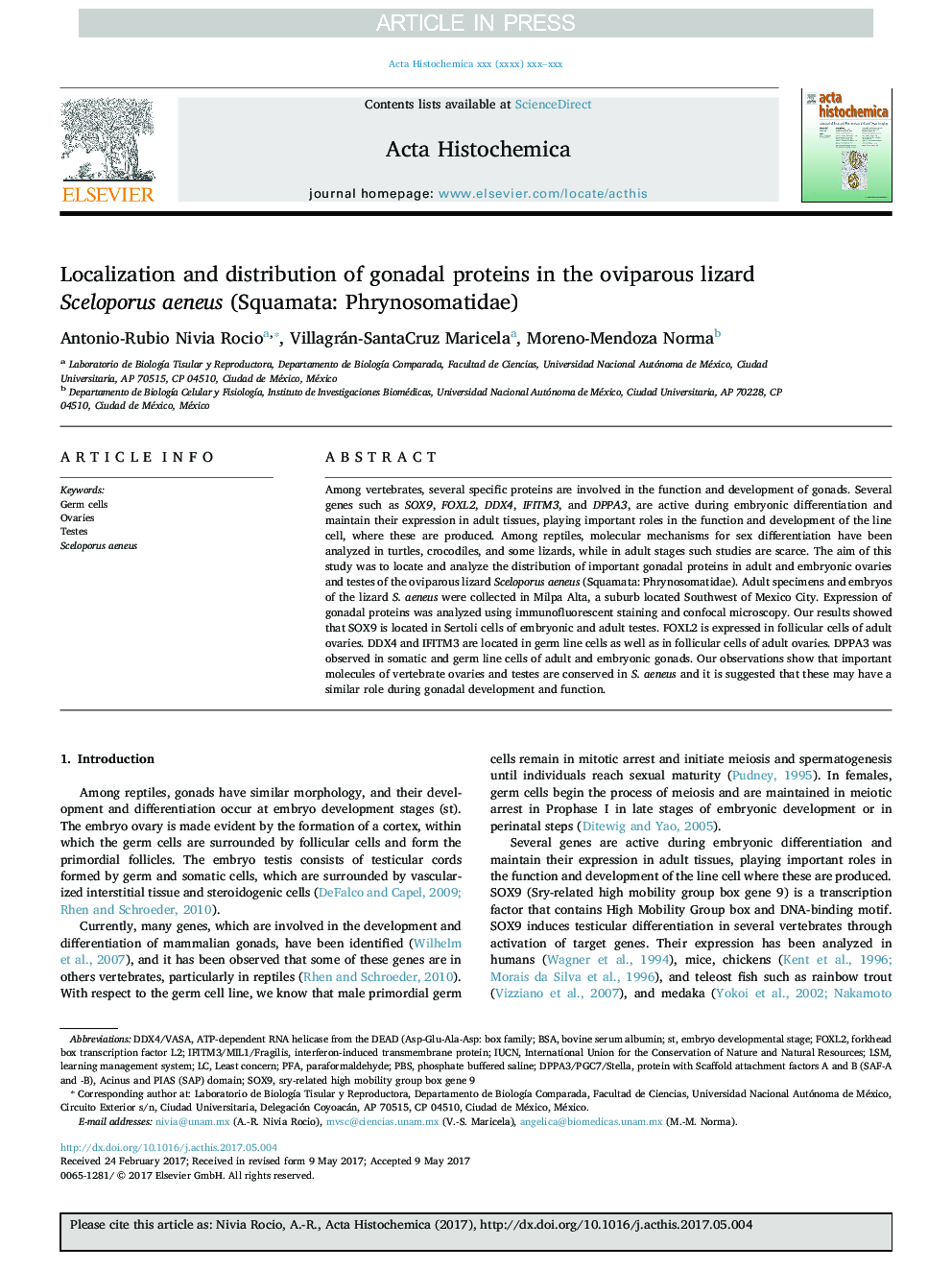 Localization and distribution of gonadal proteins in the oviparous lizard Sceloporus aeneus (Squamata: Phrynosomatidae)