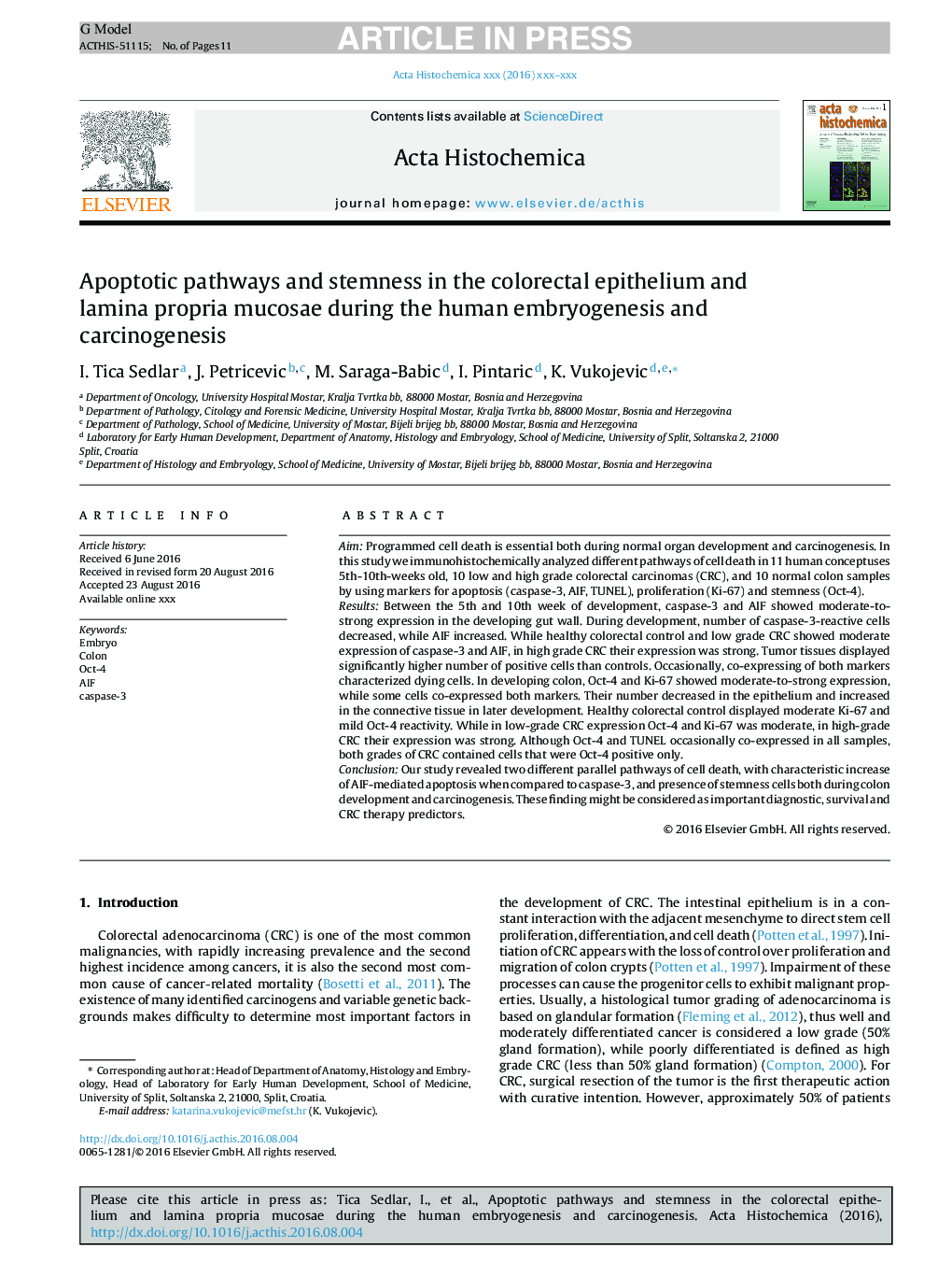 Apoptotic pathways and stemness in the colorectal epithelium and lamina propria mucosae during the human embryogenesis and carcinogenesis