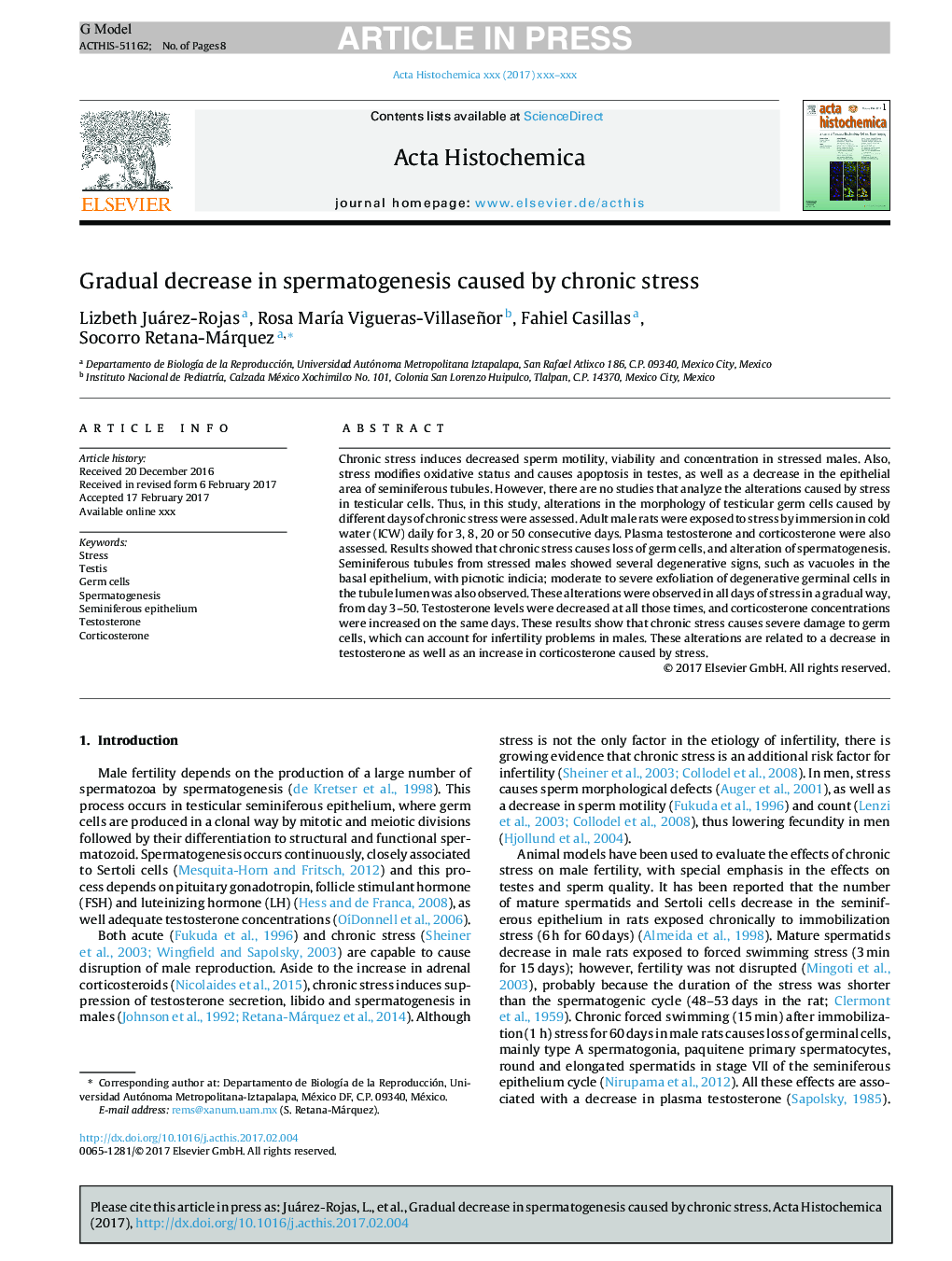 Gradual decrease in spermatogenesis caused by chronic stress