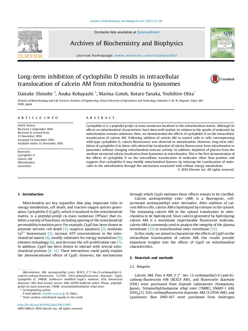 Long-term inhibition of cyclophilin D results in intracellular translocation of calcein AM from mitochondria to lysosomes