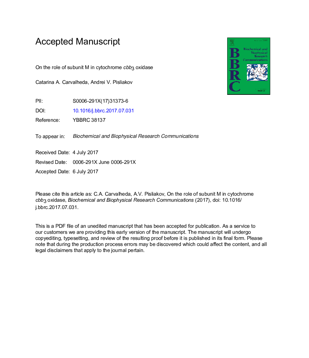 On the role of subunit M in cytochrome cbb3 oxidase