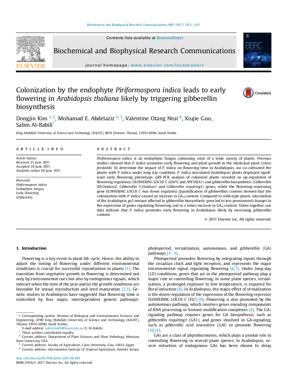 Colonization by the endophyte Piriformospora indica leads to early flowering in Arabidopsis thaliana likely by triggering gibberellin biosynthesis