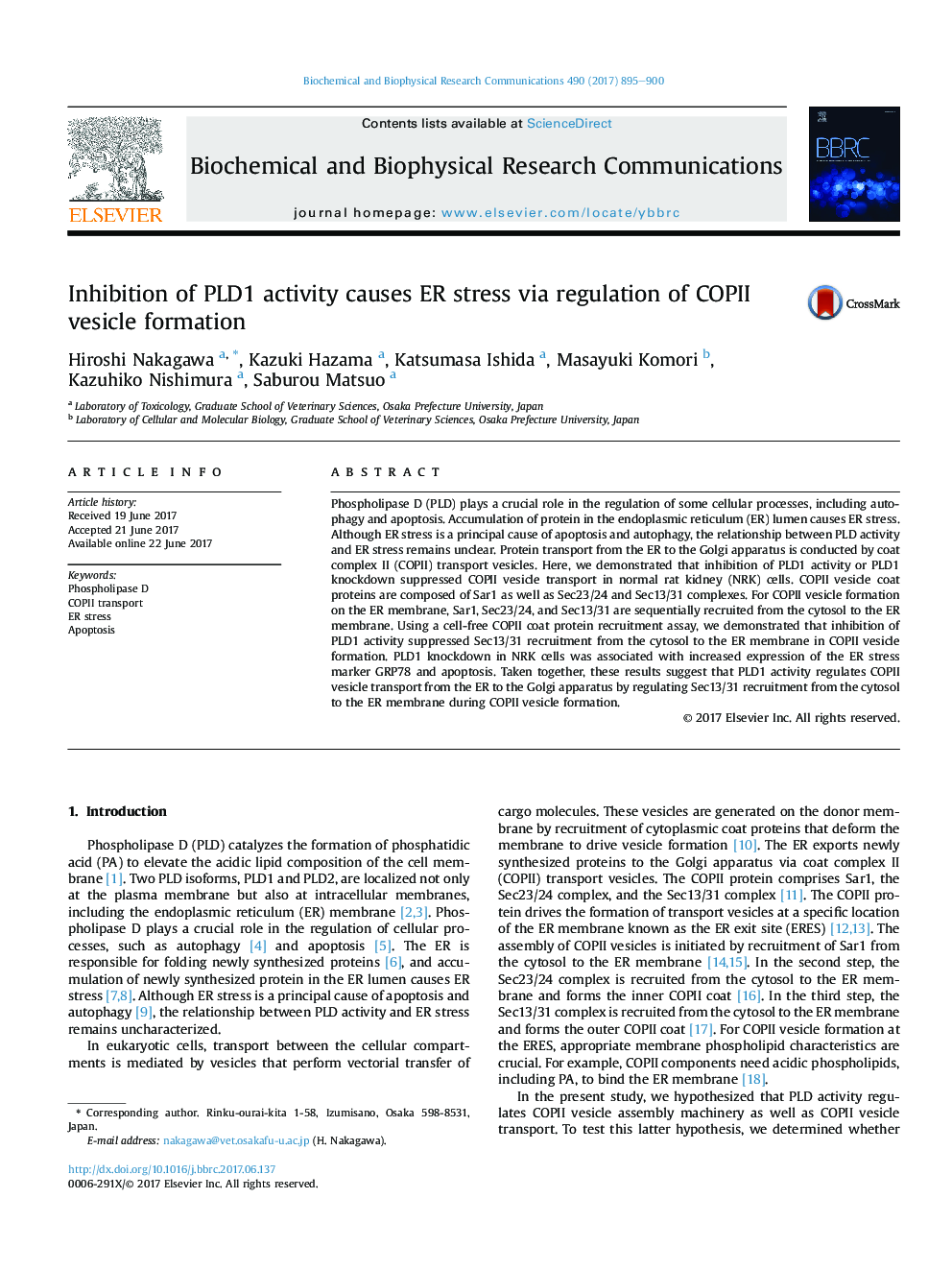 Inhibition of PLD1 activity causes ER stress via regulation of COPII vesicle formation