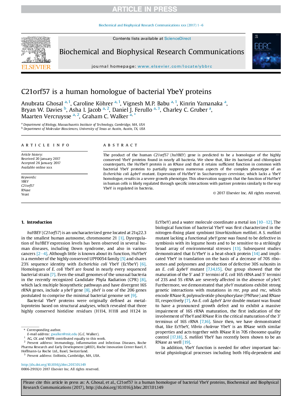 C21orf57 is a human homologue of bacterial YbeY proteins