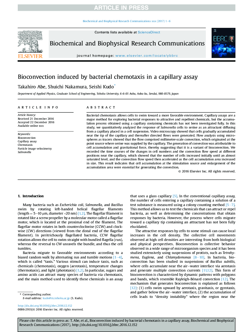 Bioconvection induced by bacterial chemotaxis in a capillary assay