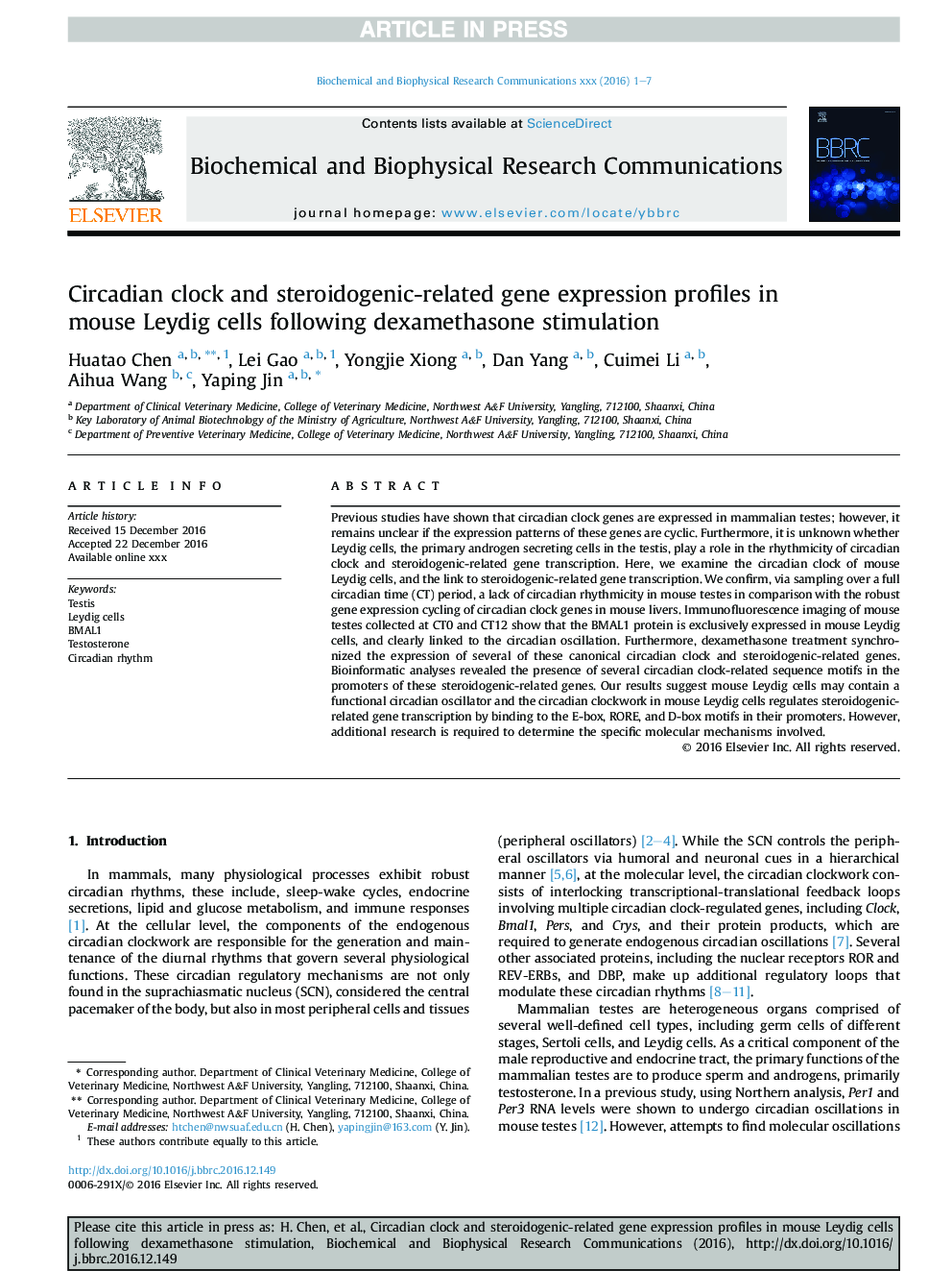 Circadian clock and steroidogenic-related gene expression profiles in mouse Leydig cells following dexamethasone stimulation