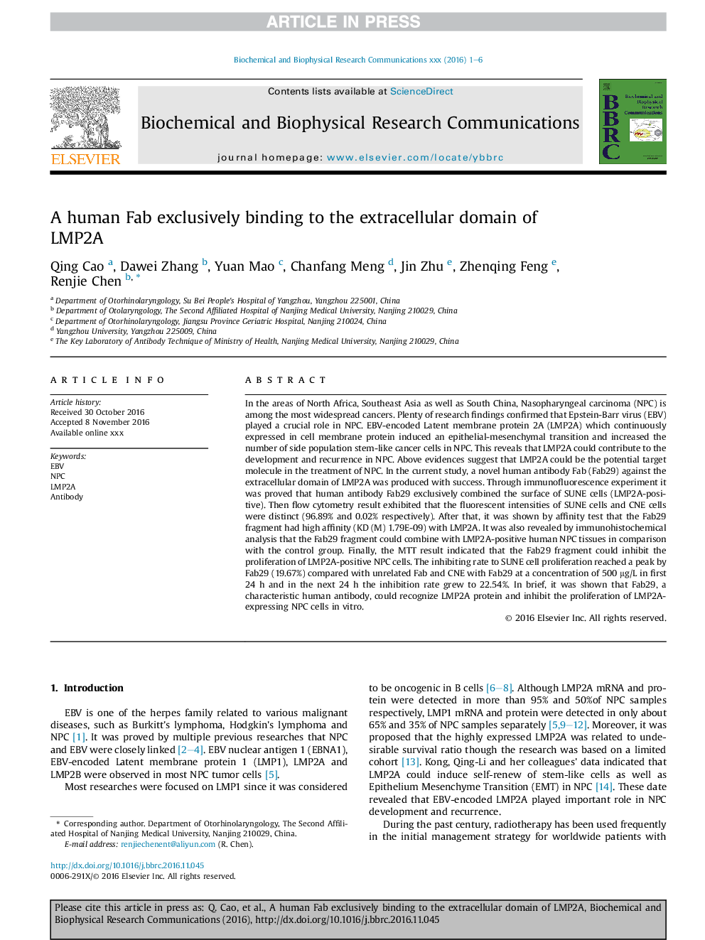 A human Fab exclusively binding to the extracellular domain of LMP2A