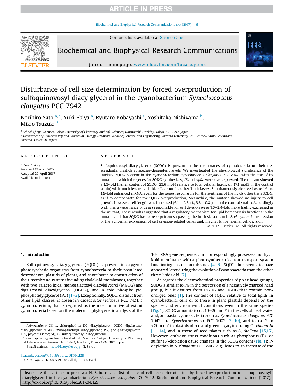 Disturbance of cell-size determination by forced overproduction of sulfoquinovosyl diacylglycerol in the cyanobacterium Synechococcus elongatus PCC 7942