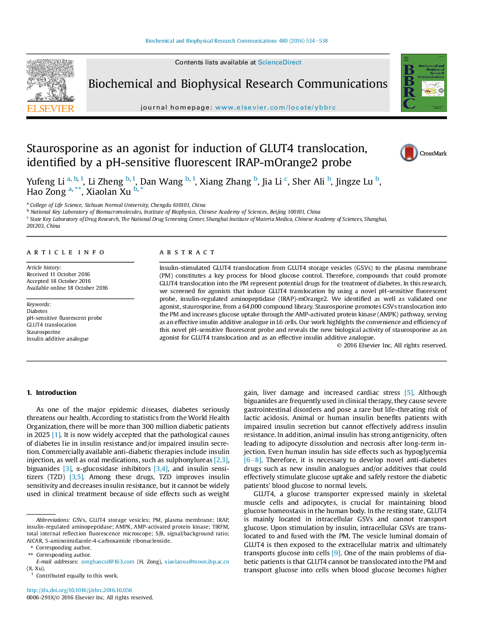 Staurosporine as an agonist for induction of GLUT4 translocation, identified by a pH-sensitive fluorescent IRAP-mOrange2 probe