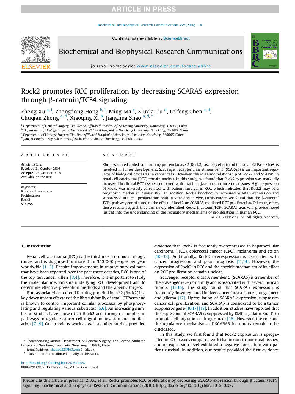 Rock2 promotes RCC proliferation by decreasing SCARA5 expression through Î²-catenin/TCF4 signaling