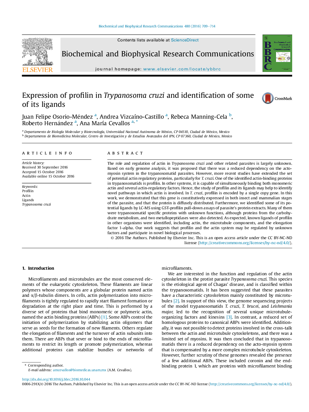 Expression of profilin in Trypanosoma cruzi and identification of some of its ligands