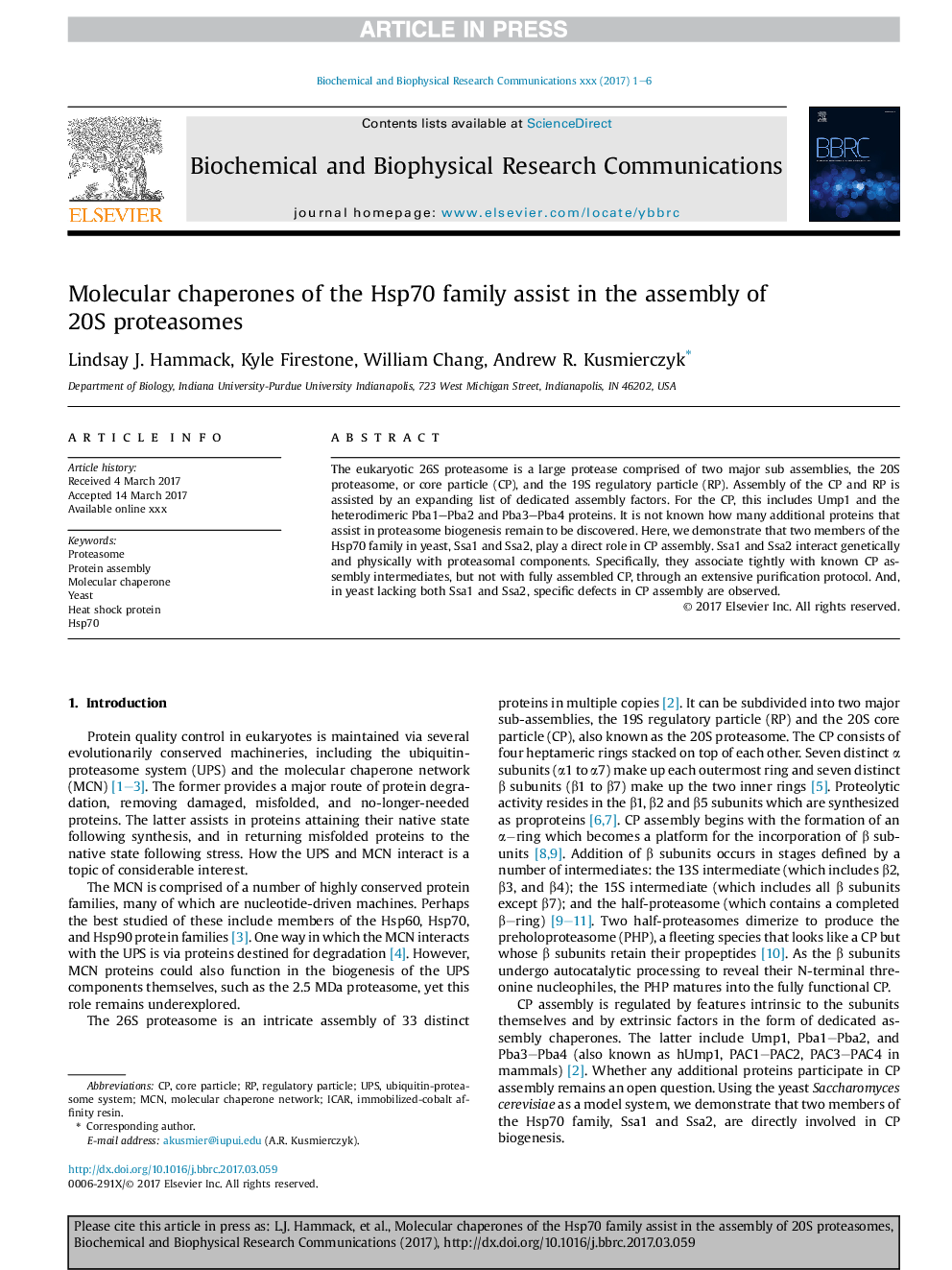 Molecular chaperones of the Hsp70 family assist in the assembly of 20S proteasomes