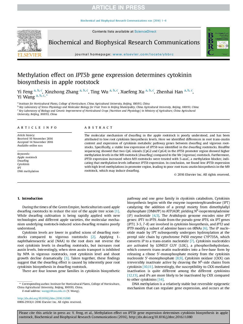 Methylation effect on IPT5b gene expression determines cytokinin biosynthesis in apple rootstock