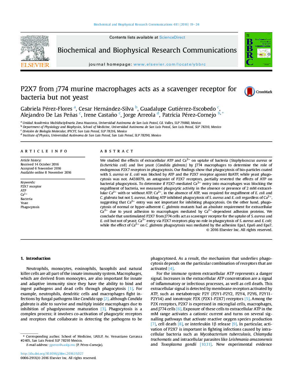 P2X7 from j774 murine macrophages acts as a scavenger receptor for bacteria but not yeast