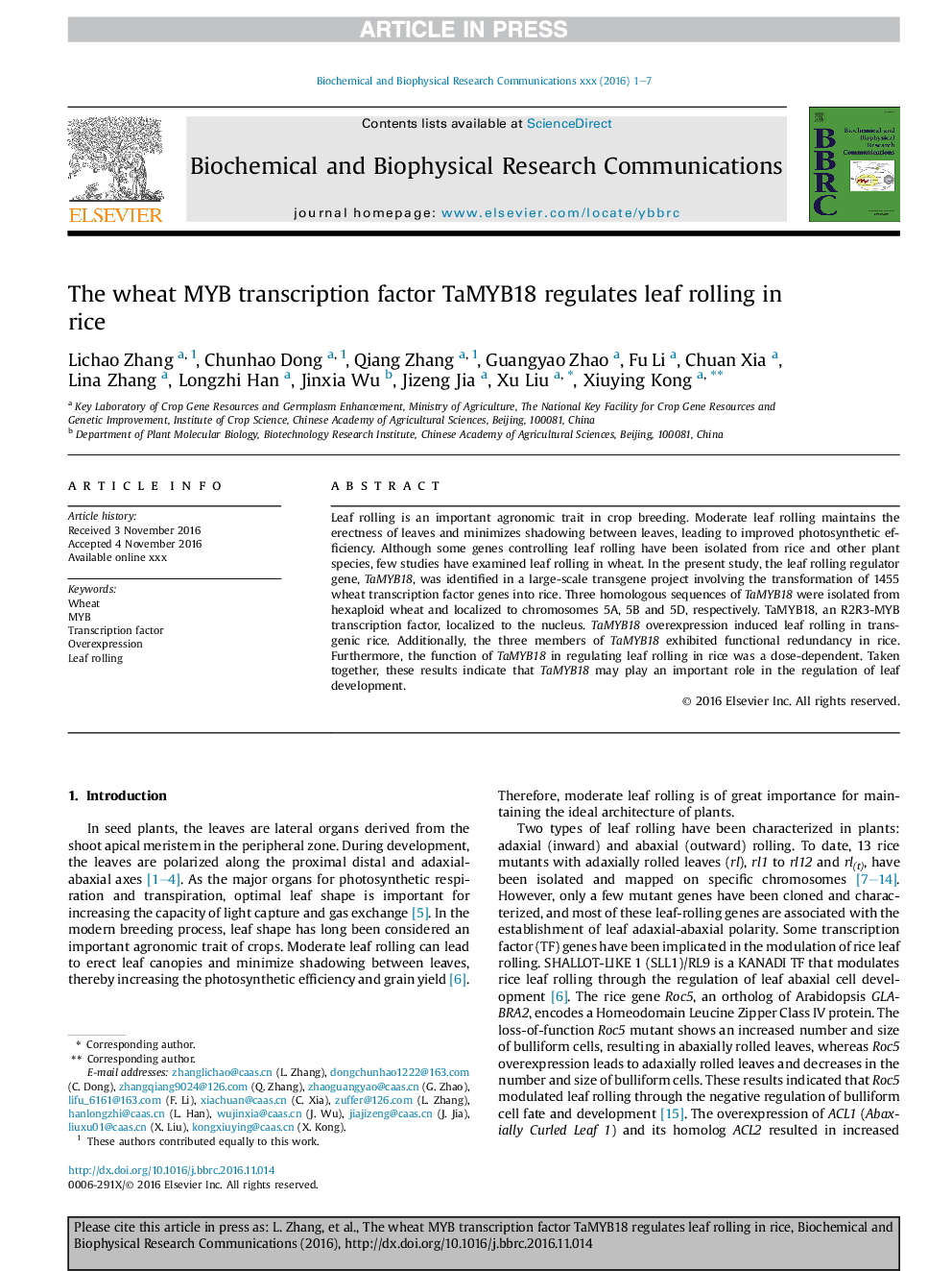 The wheat MYB transcription factor TaMYB18 regulates leaf rolling in rice