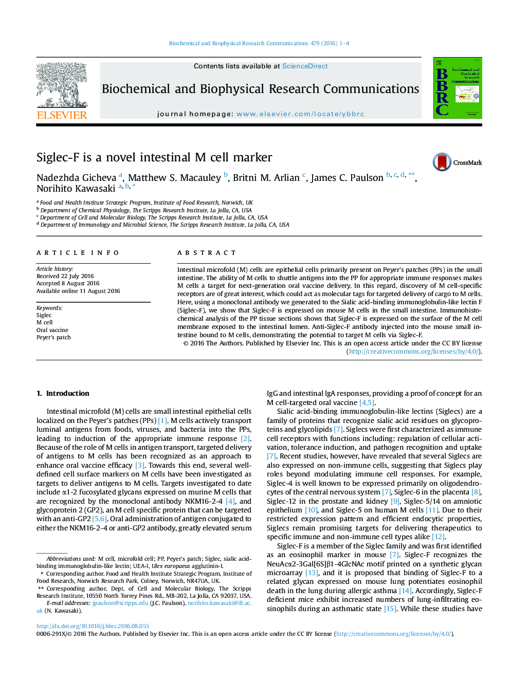 Siglec-F is a novel intestinal M cell marker