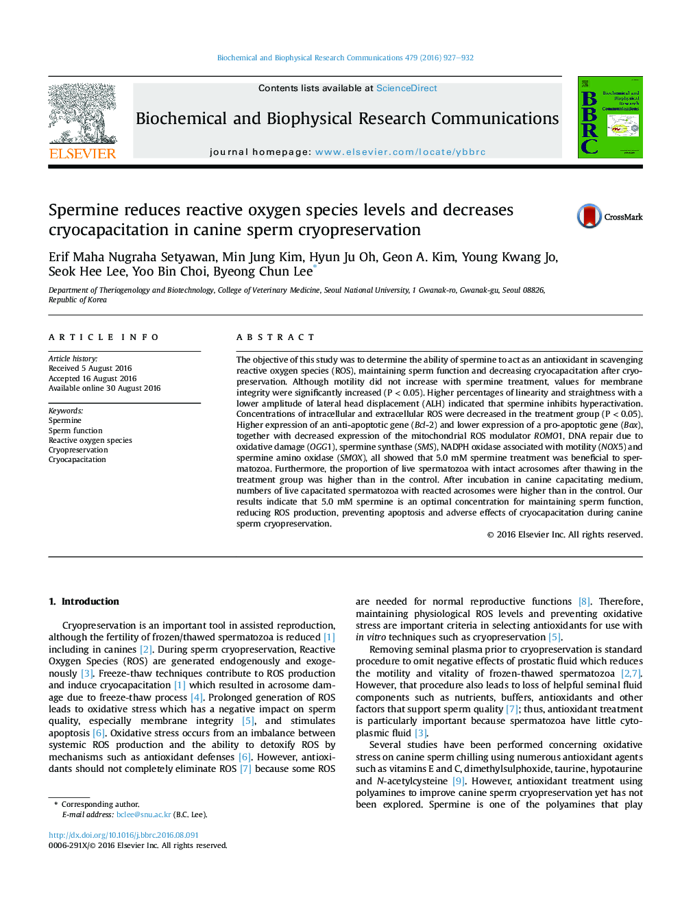 Spermine reduces reactive oxygen species levels and decreases cryocapacitation in canine sperm cryopreservation