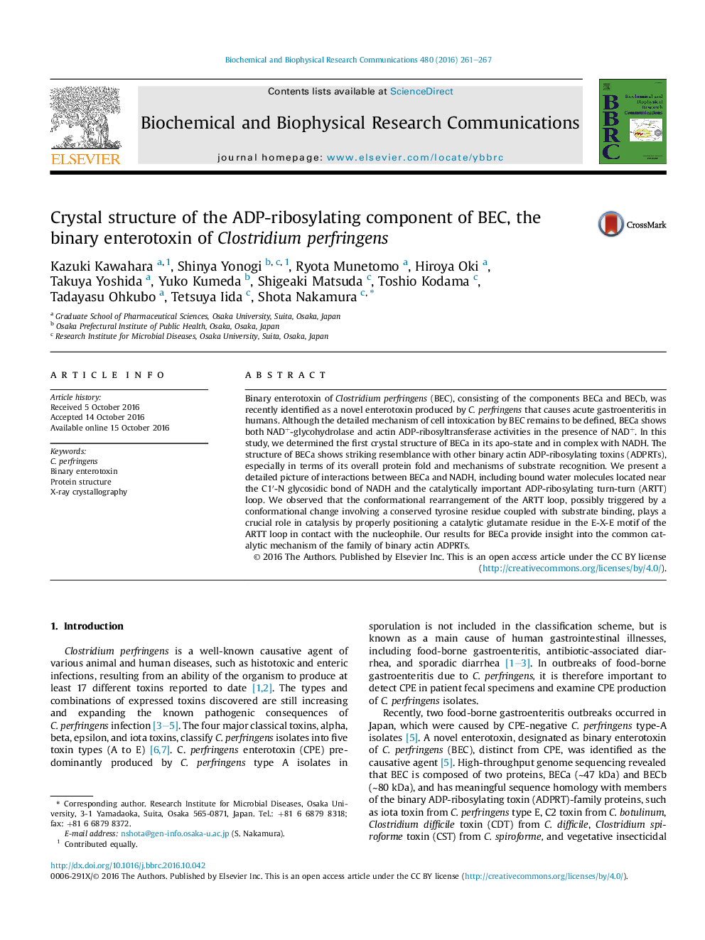 Crystal structure of the ADP-ribosylating component of BEC, the binary enterotoxin of Clostridium perfringens