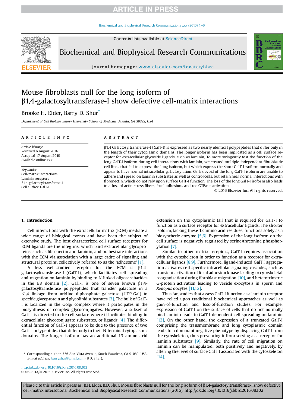 Mouse fibroblasts null for the long isoform of Î²1,4-galactosyltransferase-I show defective cell-matrix interactions