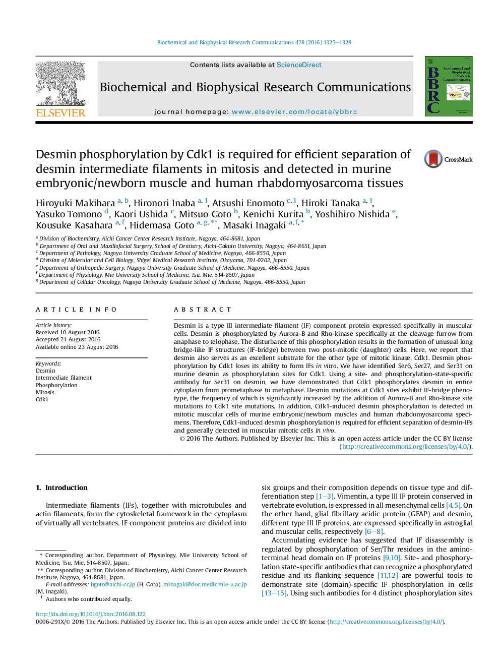 Desmin phosphorylation by Cdk1 is required for efficient separation of desmin intermediate filaments in mitosis and detected in murine embryonic/newborn muscle and human rhabdomyosarcoma tissues