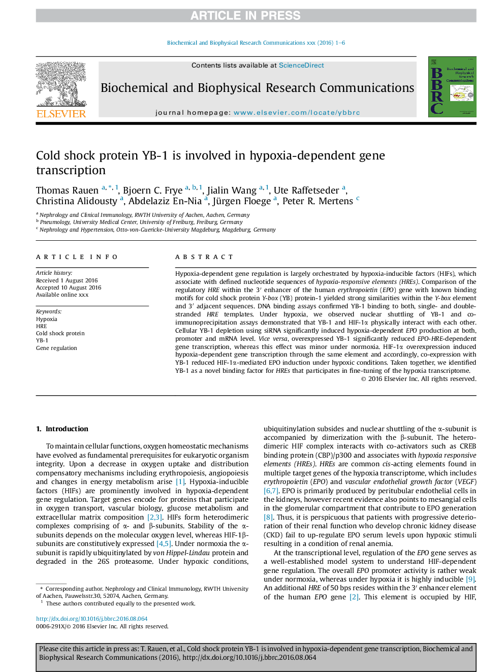 Cold shock protein YB-1 is involved in hypoxia-dependent gene transcription