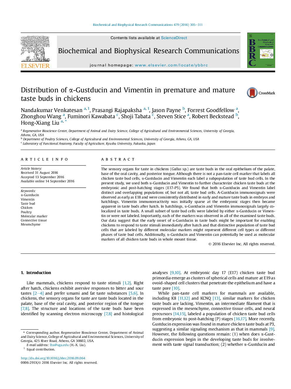 Distribution of Î±-Gustducin and Vimentin in premature and mature taste buds in chickens