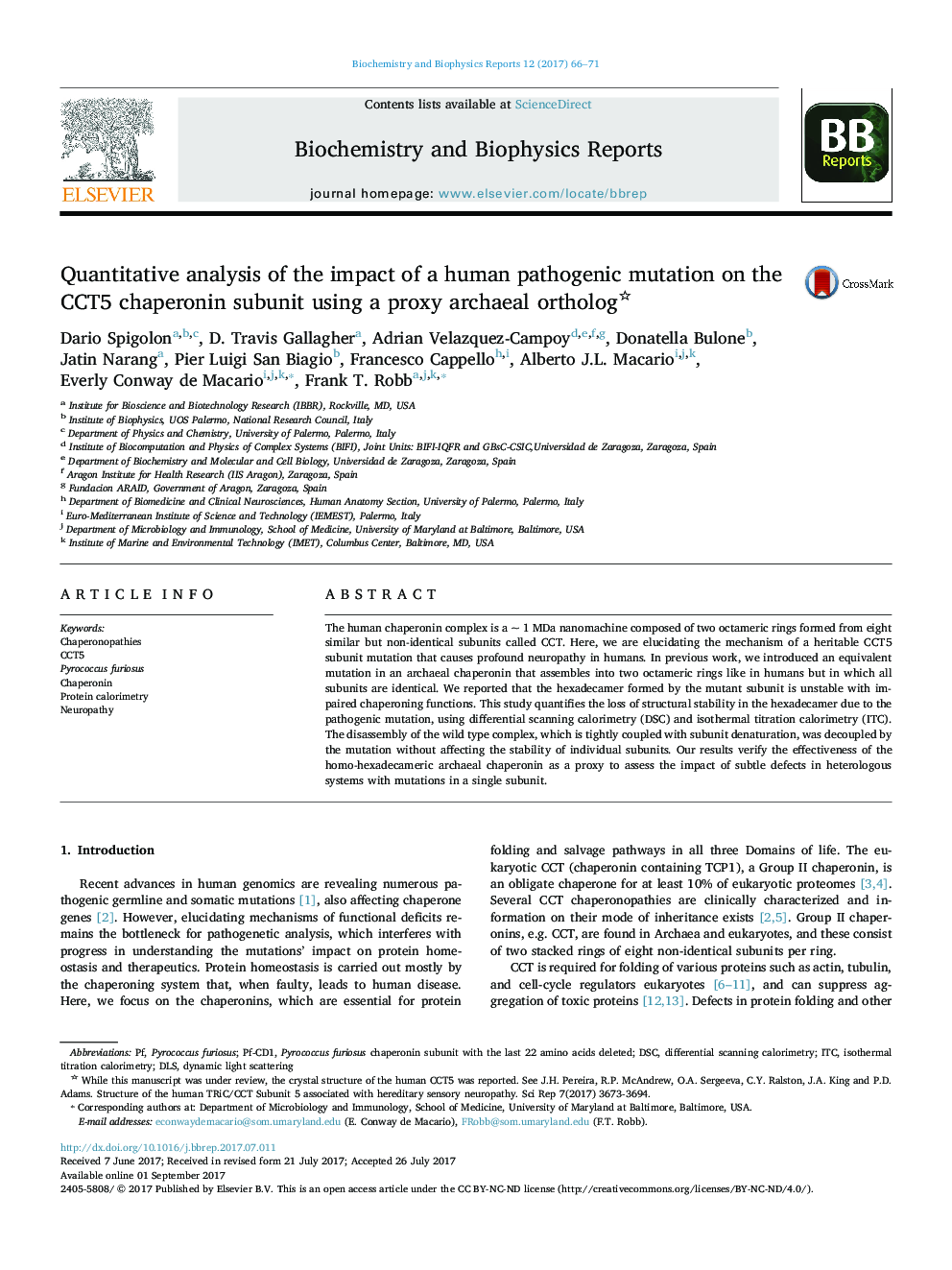 Quantitative analysis of the impact of a human pathogenic mutation on the CCT5 chaperonin subunit using a proxy archaeal ortholog