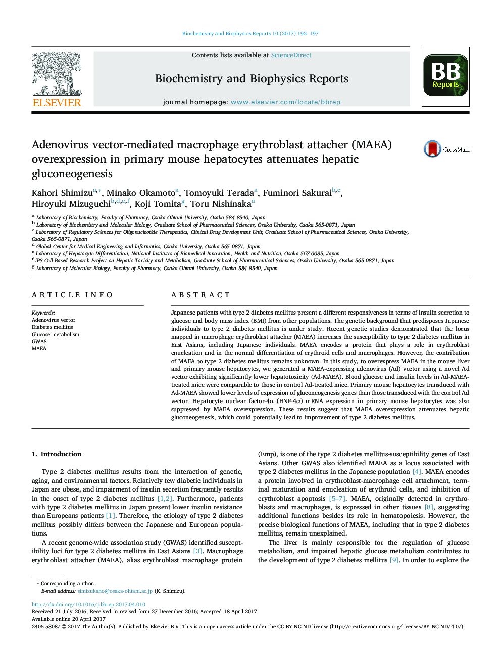 Adenovirus vector-mediated macrophage erythroblast attacher (MAEA) overexpression in primary mouse hepatocytes attenuates hepatic gluconeogenesis