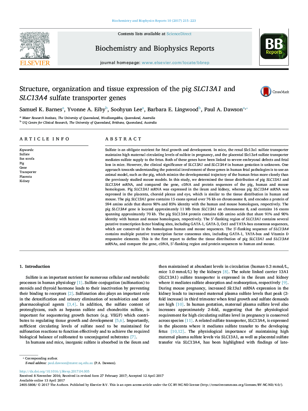 Structure, organization and tissue expression of the pig SLC13A1 and SLC13A4 sulfate transporter genes