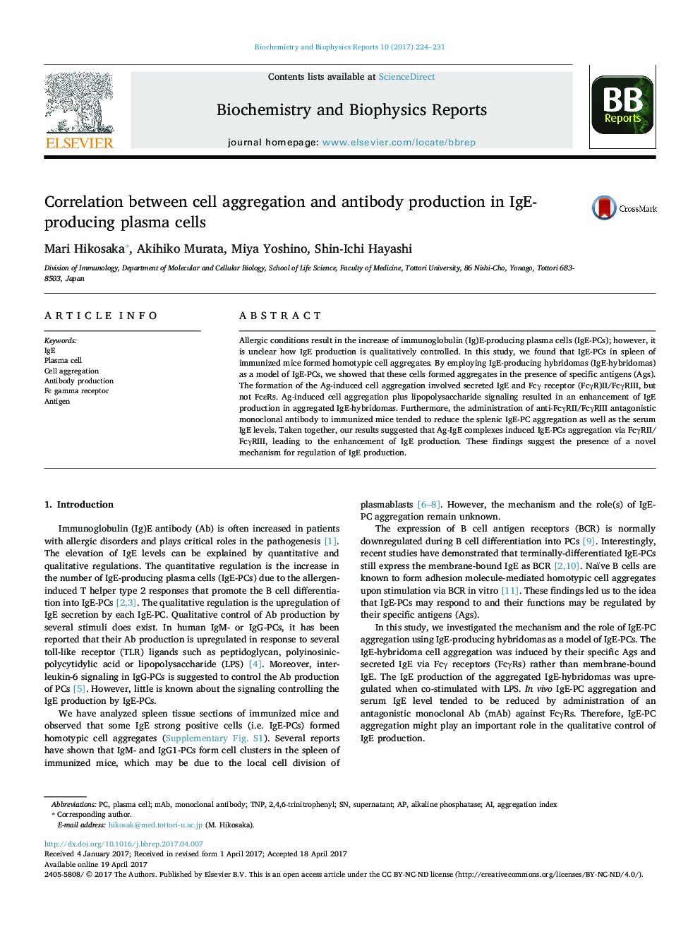 Correlation between cell aggregation and antibody production in IgE-producing plasma cells