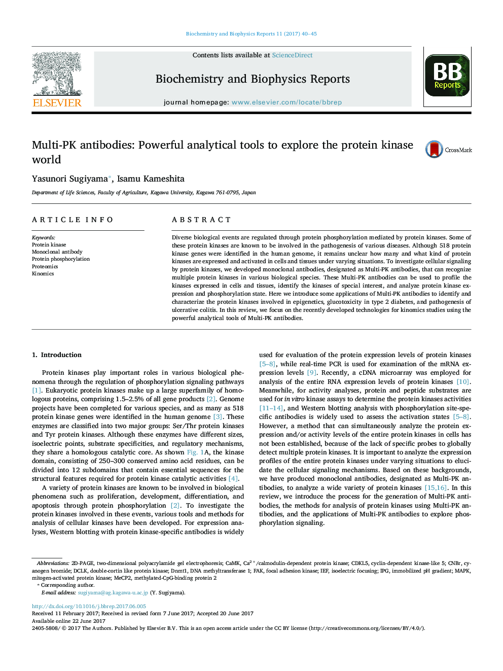 Multi-PK antibodies: Powerful analytical tools to explore the protein kinase world