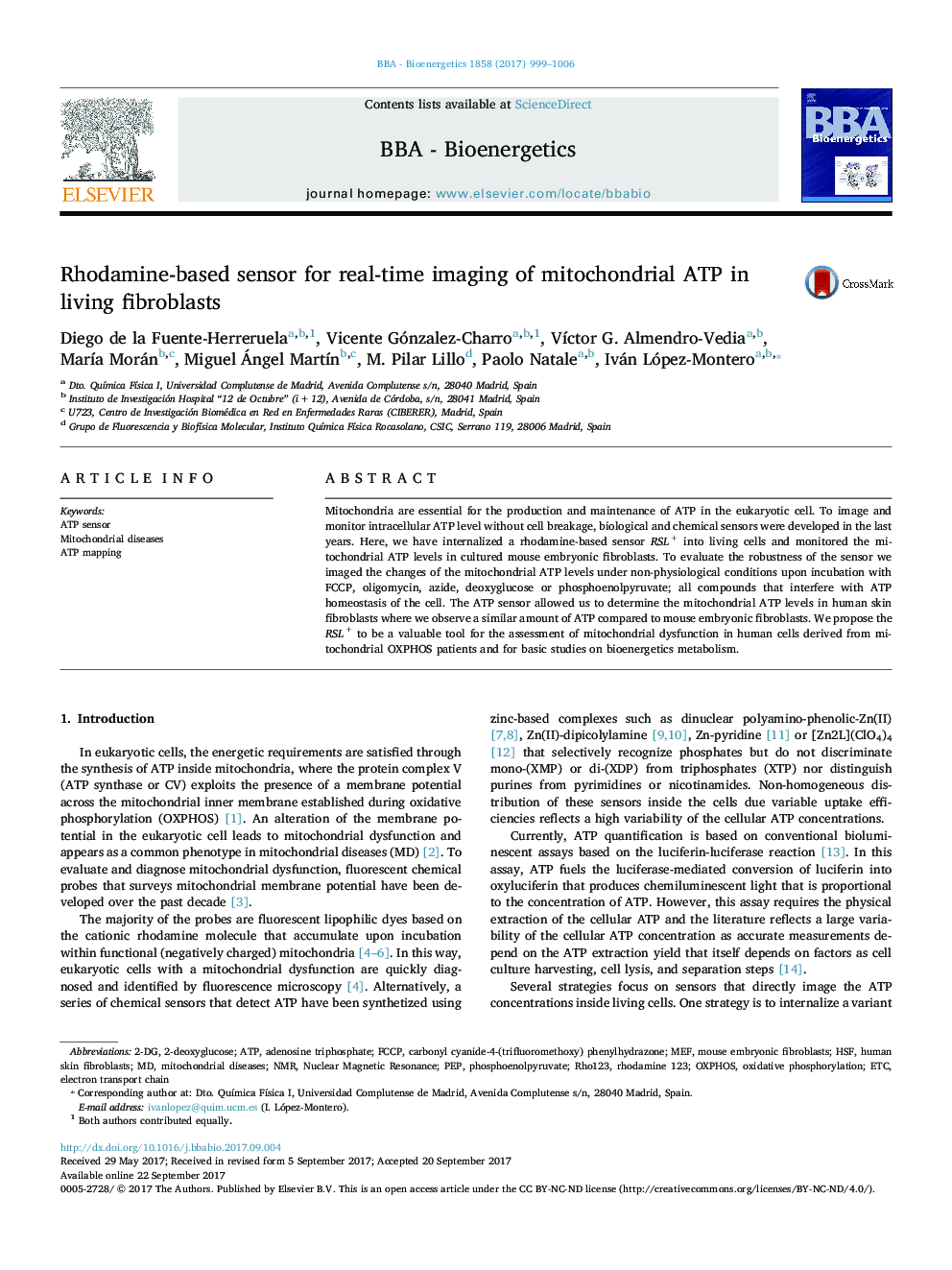 سنسور مبتنی بر رودامین بر روی تصویربرداری در زمان واقعی از ATP میتوکندری در فیبروبلاست های زنده