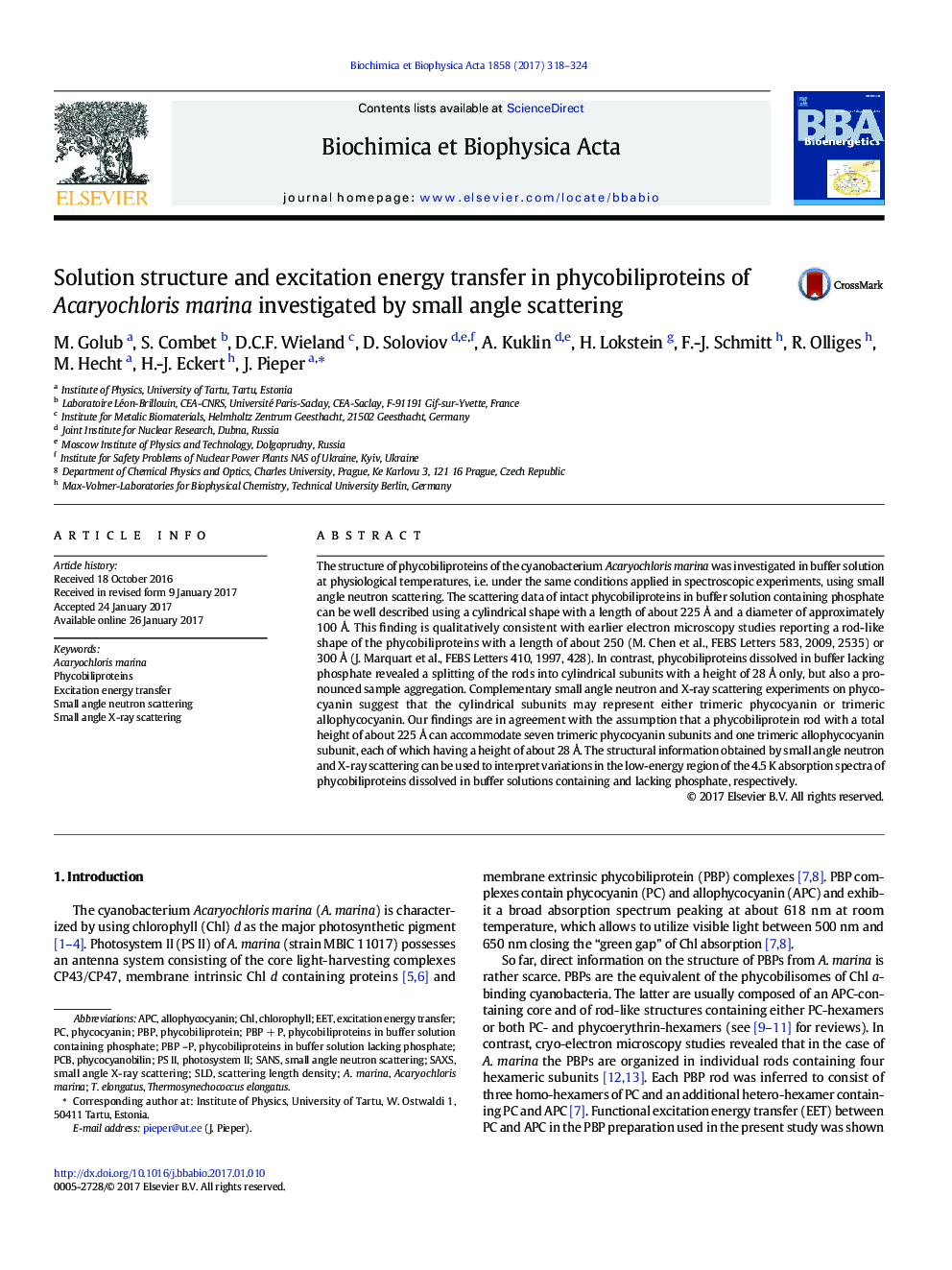 Solution structure and excitation energy transfer in phycobiliproteins of Acaryochloris marina investigated by small angle scattering